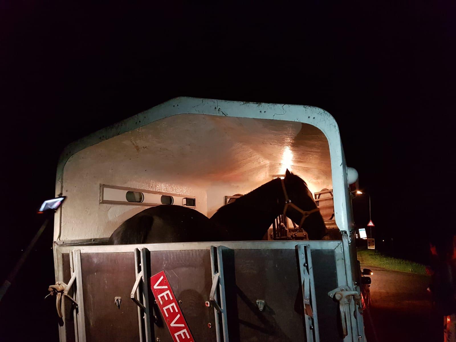 Actievoerders voor poorten van slachthuis in Oost-Graftdijk